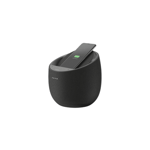 Ranasonic Charger